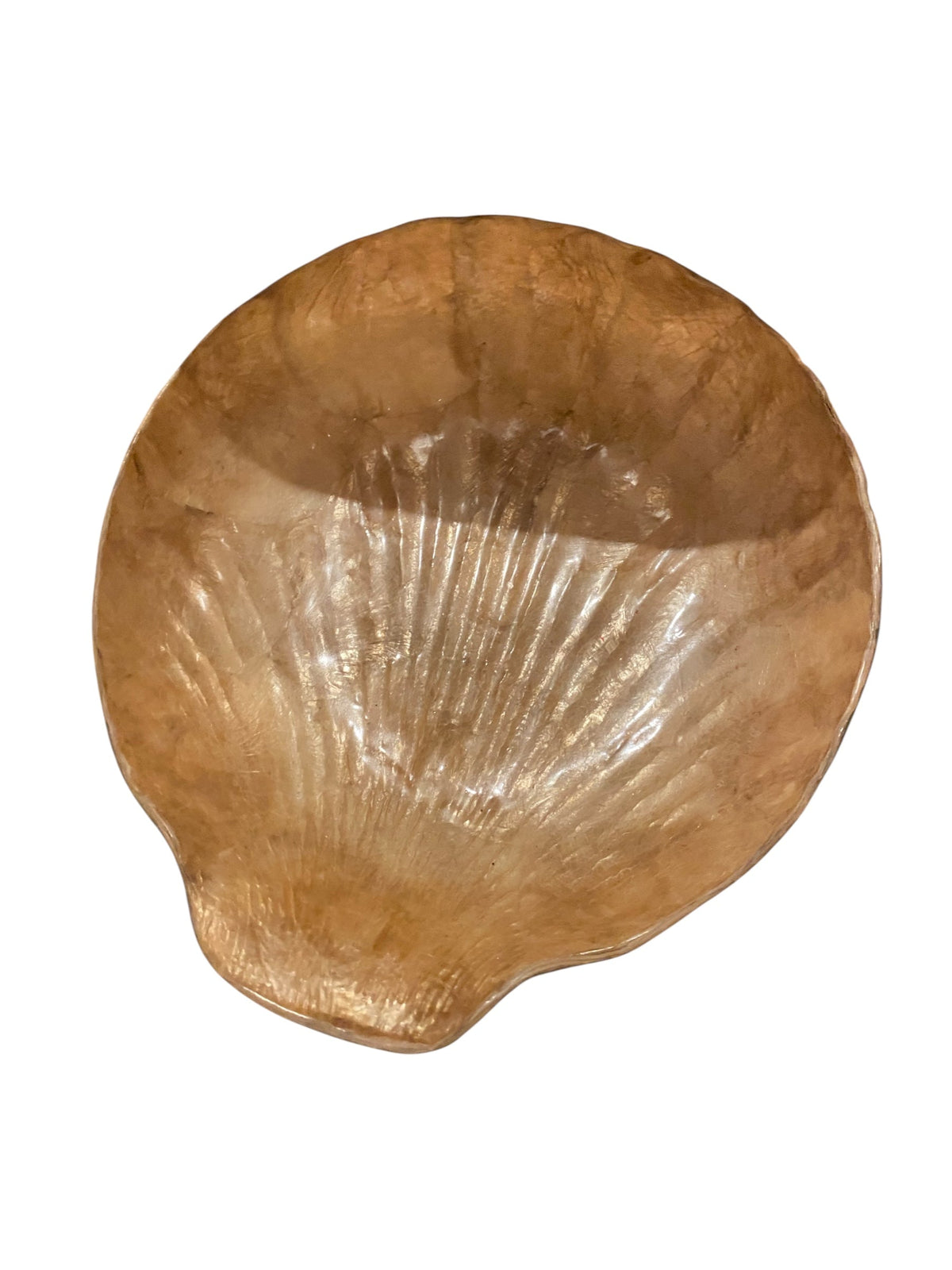Caprice Seashell Catchall