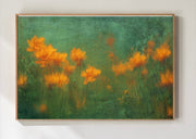 Field of Memories Landscape
