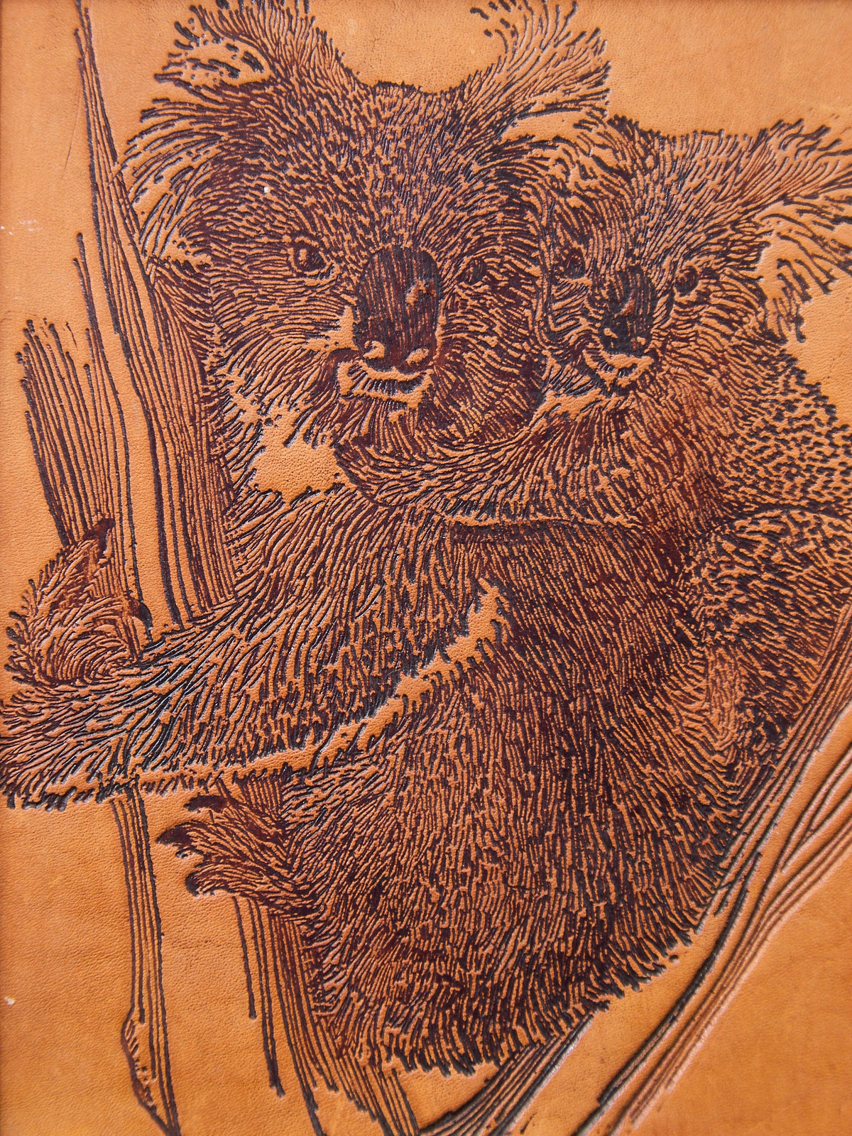 Koala Etched Wood Art