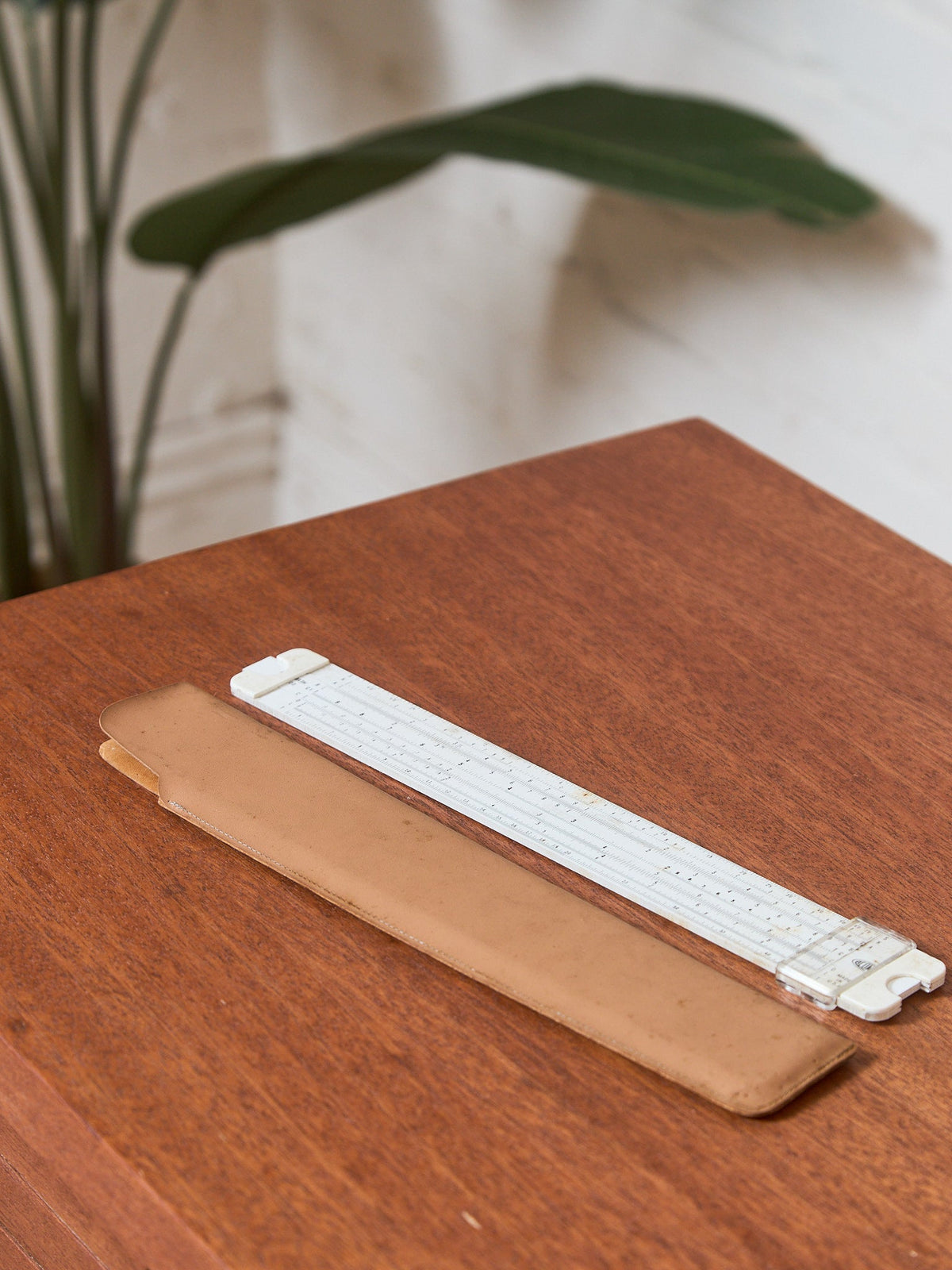 Vintage Mathematical Ruler with Case