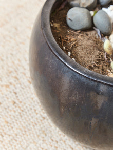 Glazed Ceramic Bowl Planter