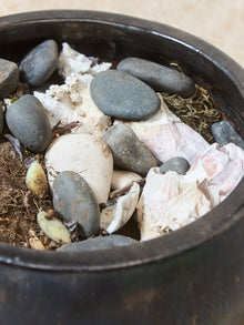 Glazed Ceramic Bowl Planter