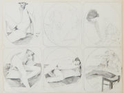 Vintage Mid Century Human Anatomy Study