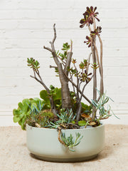 Large White Mid Century Planter with Succulents