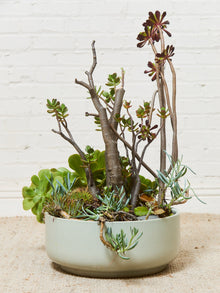 Large White Mid Century Planter with Succulents