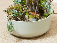 Large White Mid Century Planter with Succulents