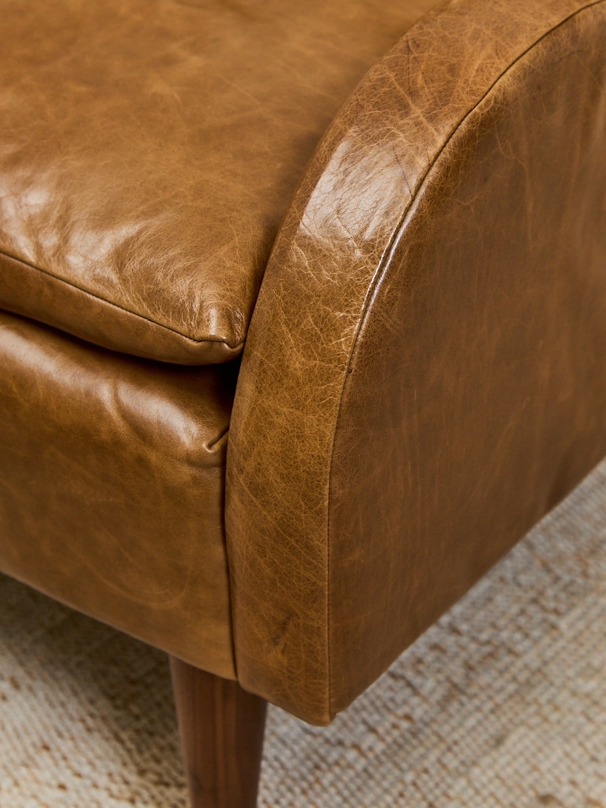 Roland Chair in Echo Umber Leather