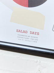 Salad Day Obey Art