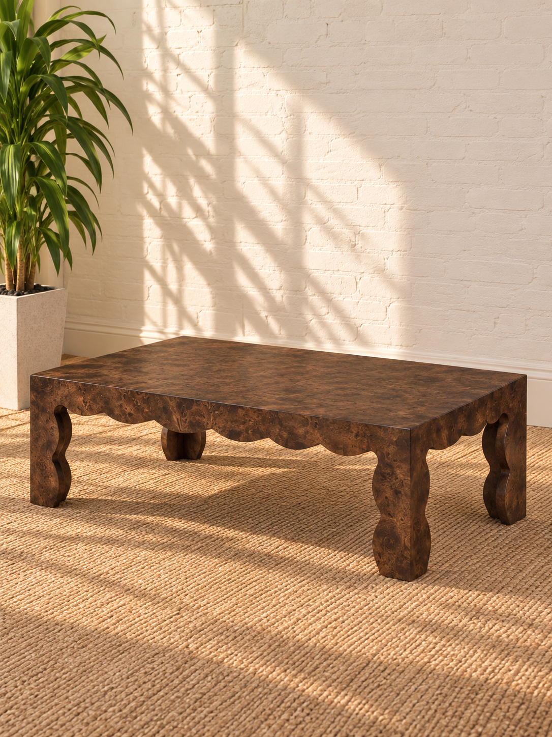Hudson Mappa Burl Coffee Table in Espresso