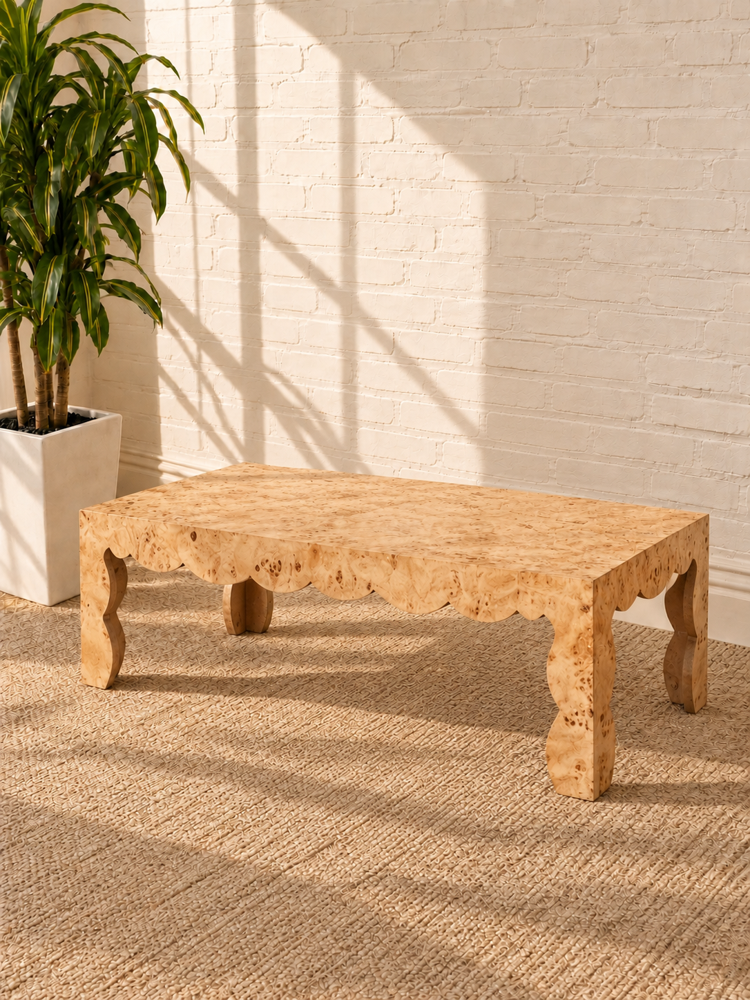 Hudson Mappa Burl Coffee Table in Latte