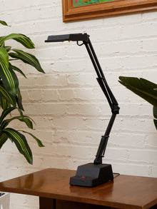 Postmodern Vintage Adjustable Industrial Work Lamp