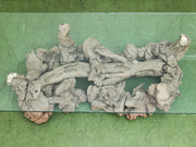 Vintage Burl Wood Low Coffee Table, 60-Inch