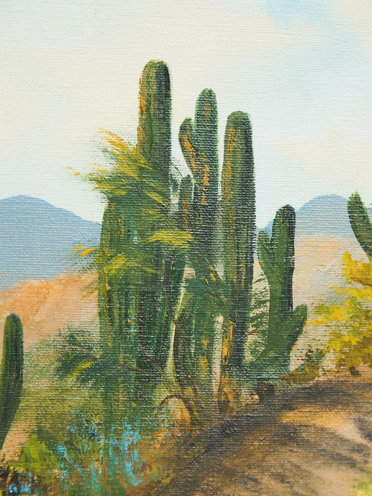 Desert Landscape by Helen Anderson