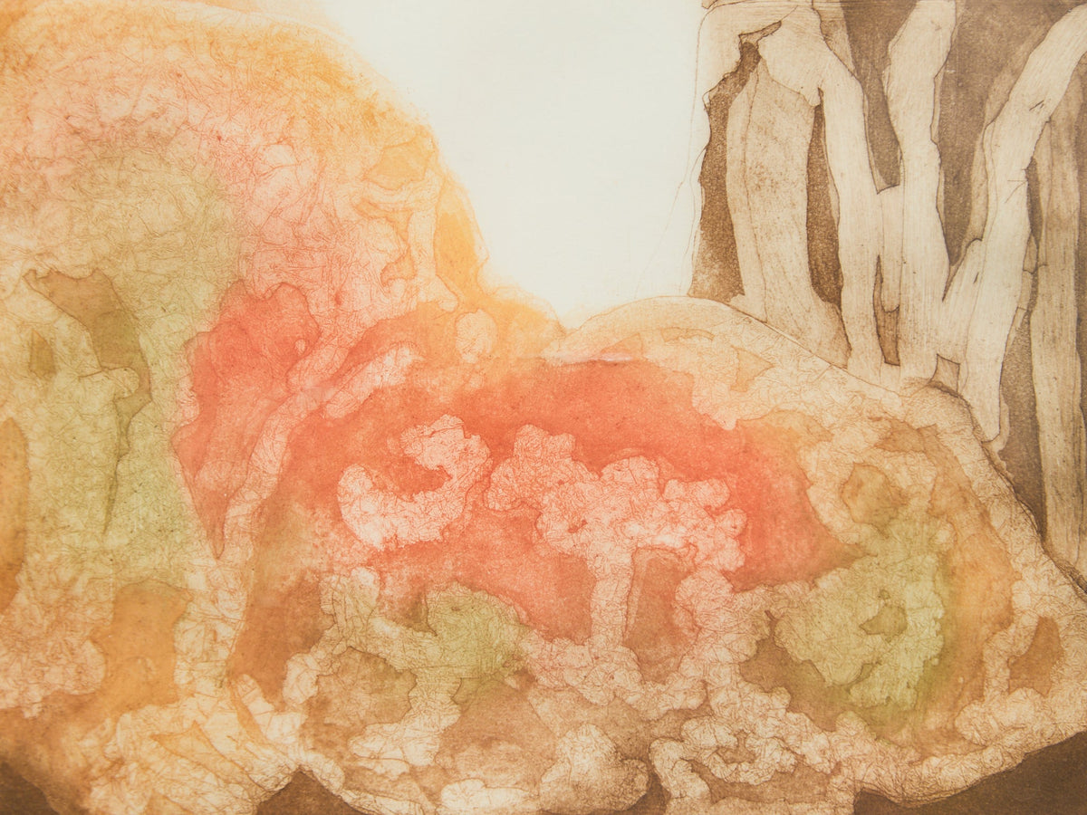 “Lichen” Etching by Ruth