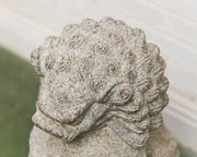 Vintage Chinese Granite Carved Foo Dog Garden Statue