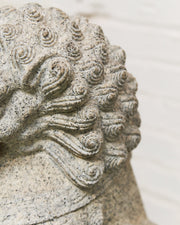 Vintage Chinese Granite Carved Foo Dog Garden Statue