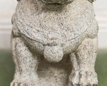 Vintage Chinese Granite Carved Foo Dog Garden Statue