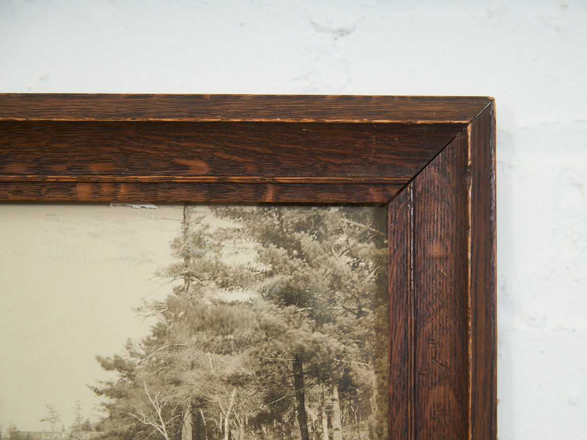 WS Blatchley Stereoscopic Photograph of the Wisconsin River