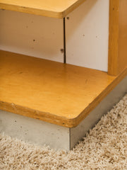 Vintage Double-Sided Adjustable Library Bookcase