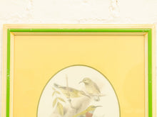 Vintage Birds by George Edwards