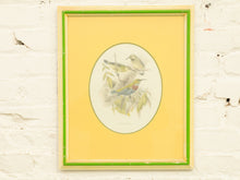 Vintage Birds by George Edwards