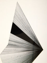Black and White Abstract
