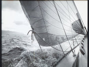 Sailing Into the Wind Black and White Nautical Photograph with Dramatic Sails