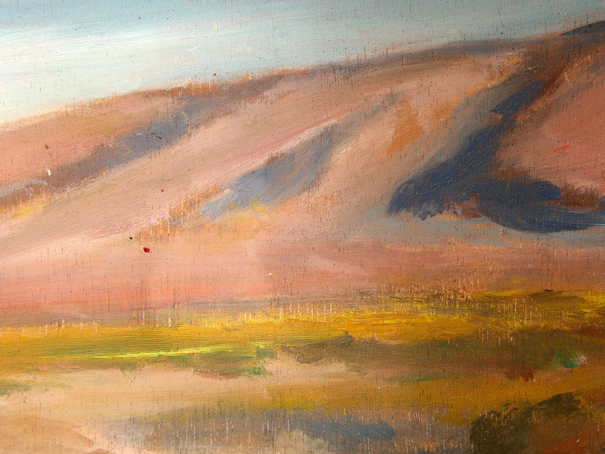 Desert Light by Spencer Collins Framed Landscape Painting in Blush, Ochre and Blue