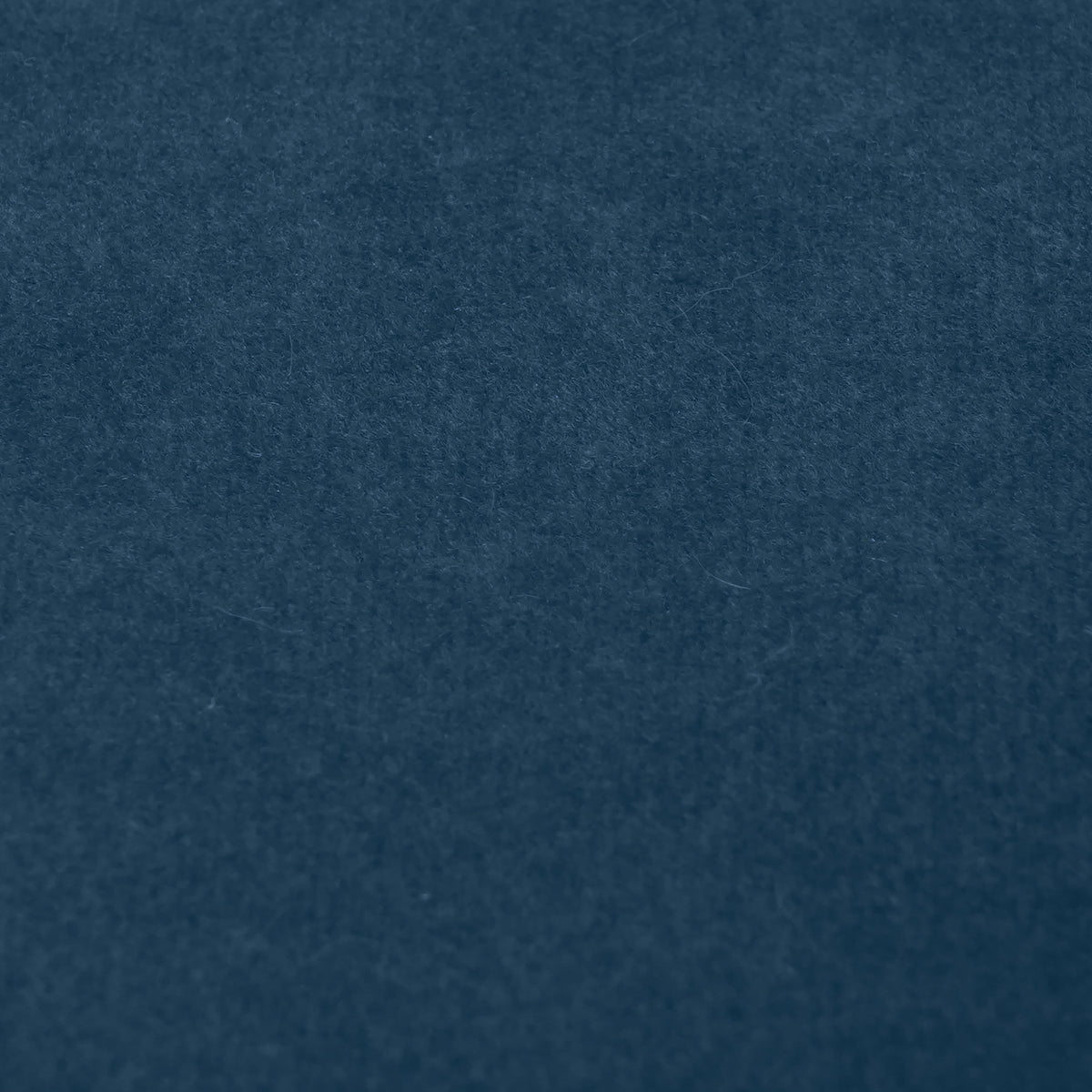 Fabric Sample