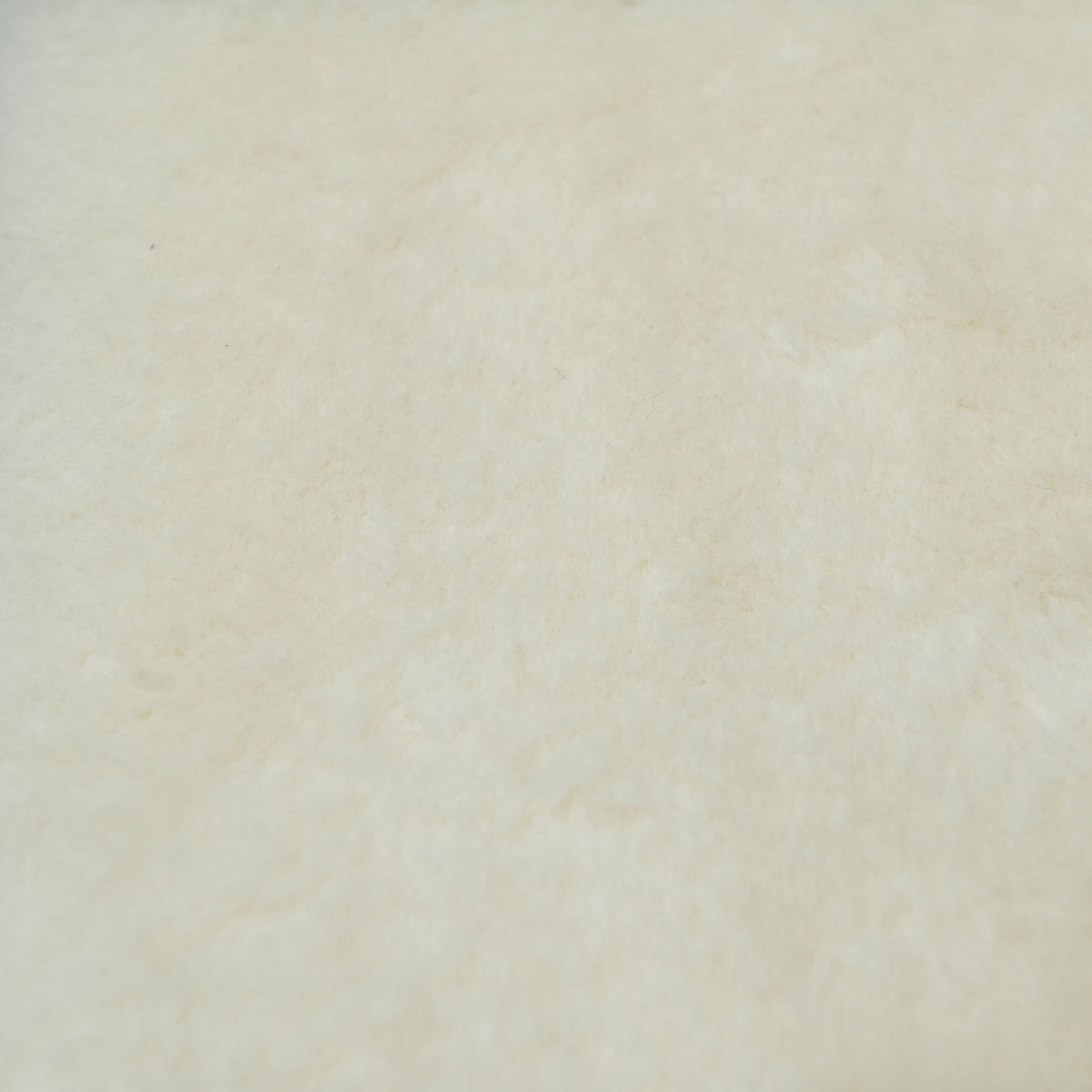 Fabric Sample