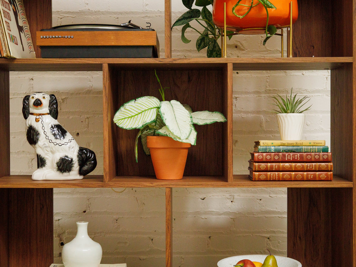 Bailey Shelf with Storage and Cream door