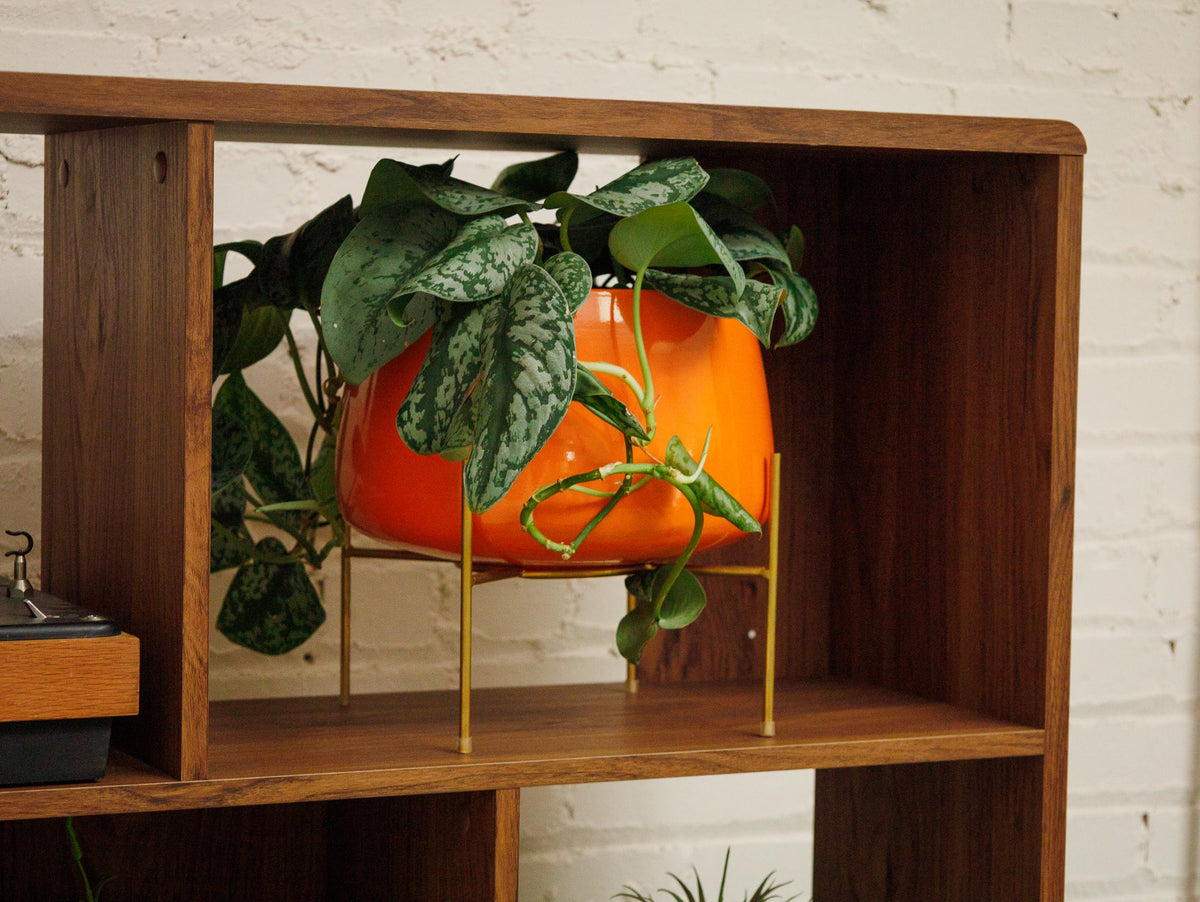 Bailey Shelf with Storage and Cream door
